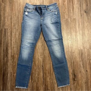 Articles of Society Midwash Skinny Jeans